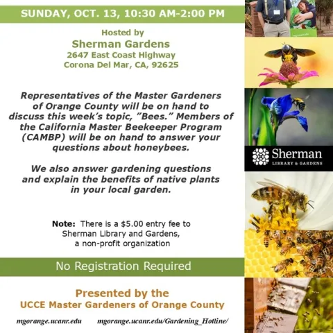 Buzz Over to Our Booth: Learn About Bees & Native Plants This Week