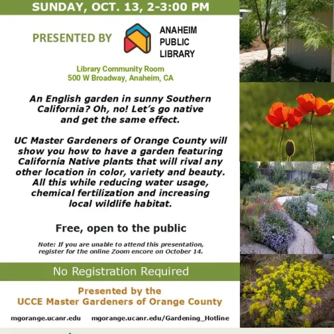 Go Native: Transform Your Garden with California Natives – Join Us