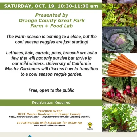 Chilly Days, Fresh Greens. Register Now for Cool Season Gardening