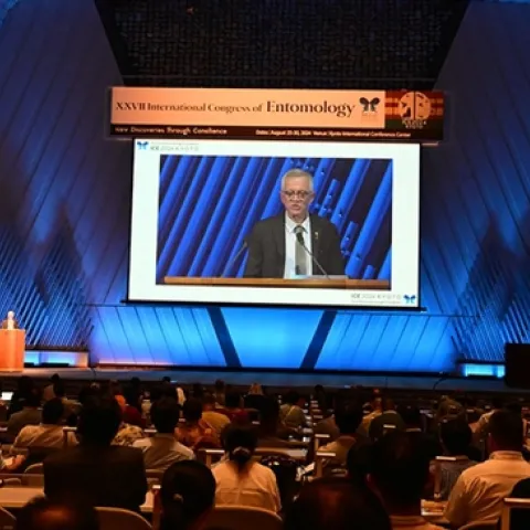UC Davis distinguished professor Walter Leal delivering a substitute lecture when entomologist May Berenbaum was unable to attend to present the Wigglesworth Memorial Award Lecture.