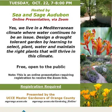 Design the Perfect Drought-Tolerant Garden—Join Us on Zoom!