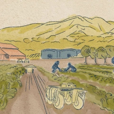 An artist's conception of Reservoir Farms