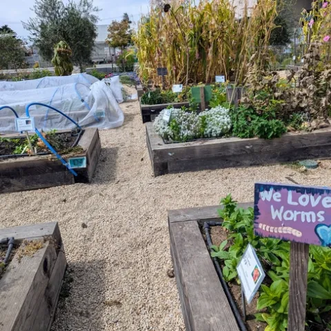A colorful garden sign reads "we love worms!"