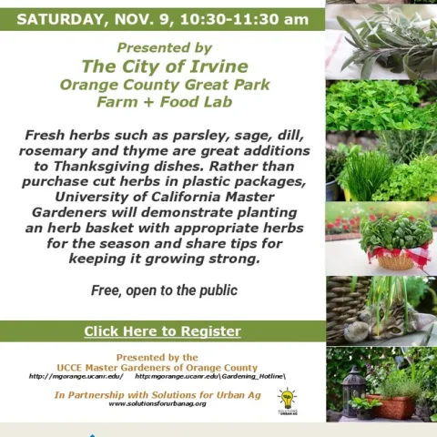 11-09-24 Herb Baskets-FFL