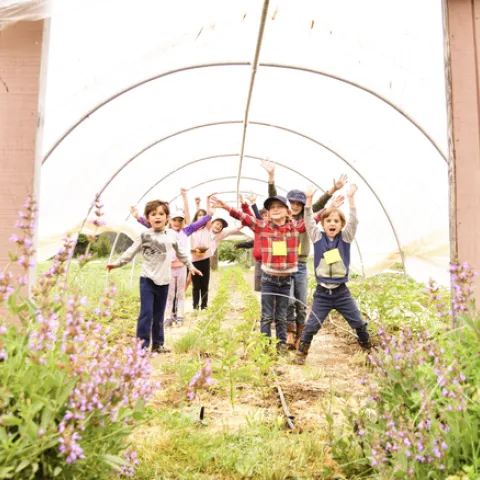 Kids wave their arms inside a crop shade structure tunnel.