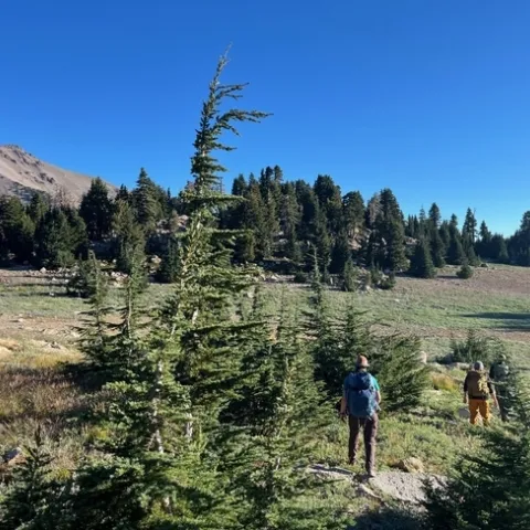 Members of the Klamath Inventory and Monitoring Network hike to a research plot beneath Lassen Peak. Credit: C. Jordan