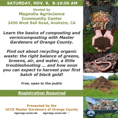 Composting 101: Transform Kitchen Waste into Garden Gold