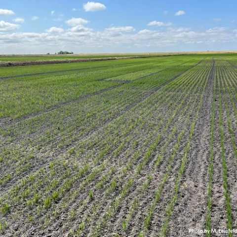 IMG 9001 with credit