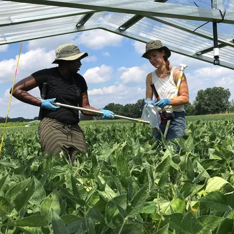 Soil scientist Christine Sprunger (left) and lab manager of the W. K. Kellogg Biological Station (KBS), Michigan State University, collecting soil samples. (Photo courtesy of KBS)
