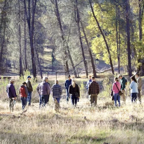 A group of people stand in a circle amid oak trees