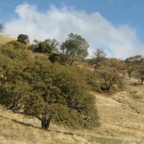 21223803846 806b65283c c(2)