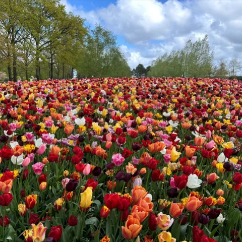 photos by Erin Mahaney