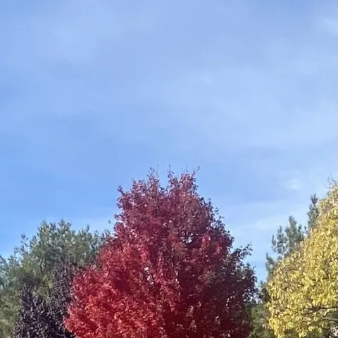 photo by Mike Gunther