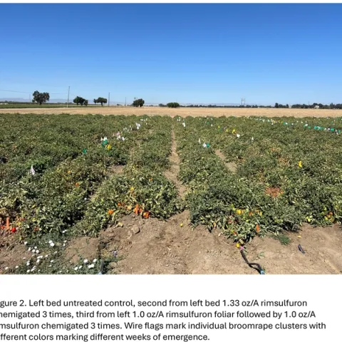 chemigation blog Fig2