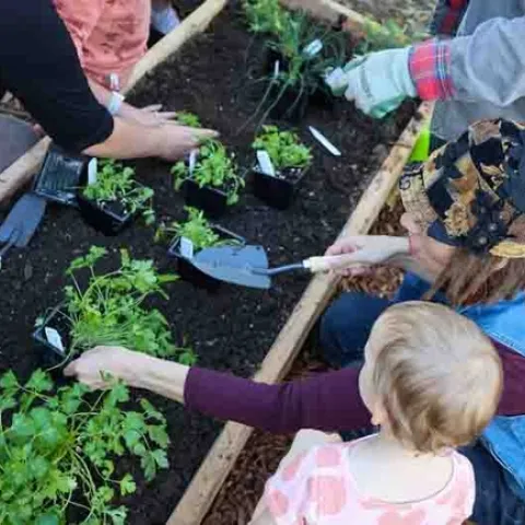 Young Children in the Garden event at Chapman Community Garden. Photo courtesty of CARD