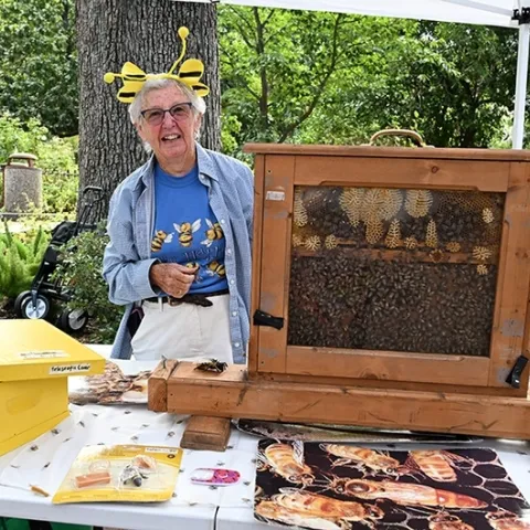 Ettamarie Peterson, known as the "Queen Bee of Sonoma County," gets ready to greet visitors at the Vacaville Museum Guild's Children's Party, an annual event held every August in the museum courtyard. (Photo by Kathy Keatley Garvey)