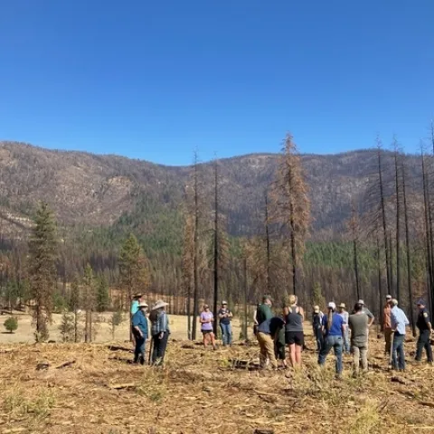Personal de Extensión Cooperativa de UC y del Feather River Resource Conservation District encabezan un recorrido con propietarios de tierras en octubre del 2022, por zonas tratadas por medio de los esfuerzos del Equipo Local de Restauración Forestal de Emergencia. Fotografía por Daylin Wade