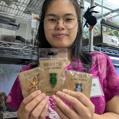 Bohart Museum of Entomology student intern Jasmine Chow holds a selection of bug pins available in the museum's gift shop.