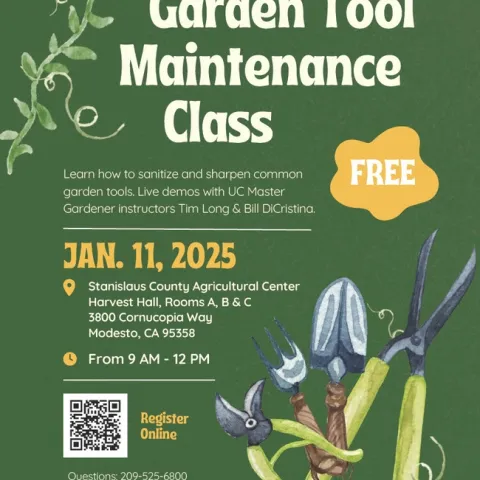 1734718794162-e91ae16a-9ec2-4289-8e12-f8e4cb8ea72c 1