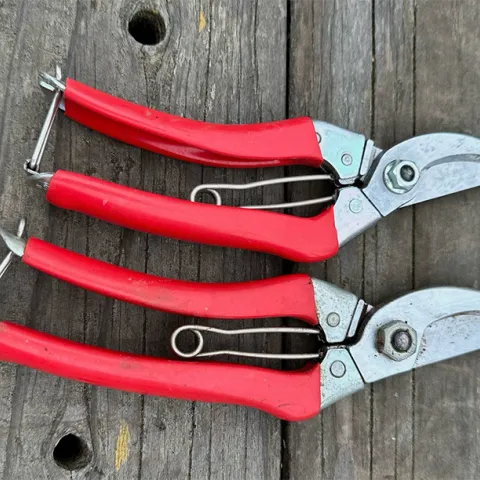 There are many choices in by-pass pruners with models that fit different hand sizes.