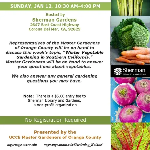 Winter Gardening Made Easy: Visit Us for Expert Tips and Advice!