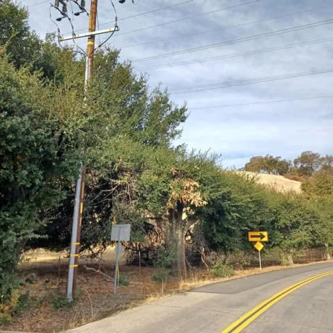 View of the hills at the end of Clayton Rd in October and below, view of the tractor access to the vineyard behind my house today, Dec. 16.