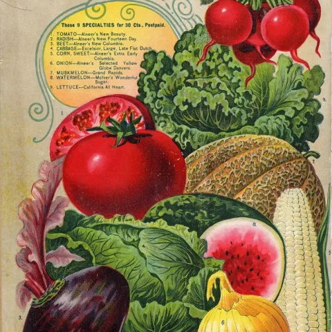 Vintage seed catalog with images of fruits and vegetables.
