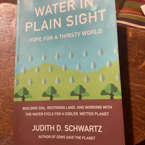 photo by Tina Saravia