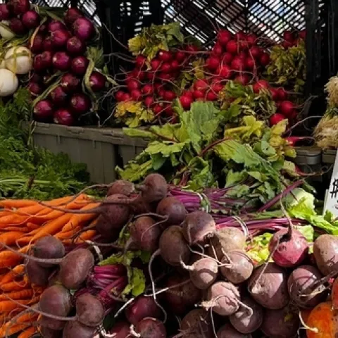 Go Organic workshop flyer Jan 31 Final