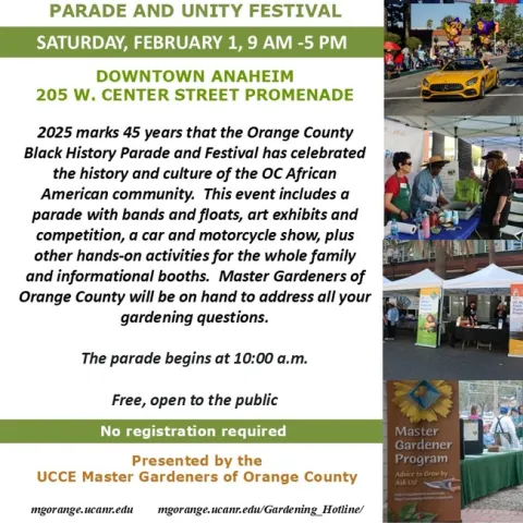 Celebrate Culture: Visit Our Booth at the OC Black History Parade & Unity Festival