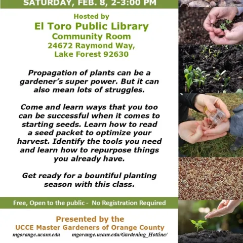 Crack the Code: How to Read a Seed Packet Like a Pro