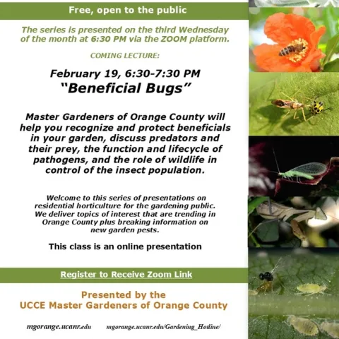 Good Bugs vs. Bad Bugs—Learn the Difference