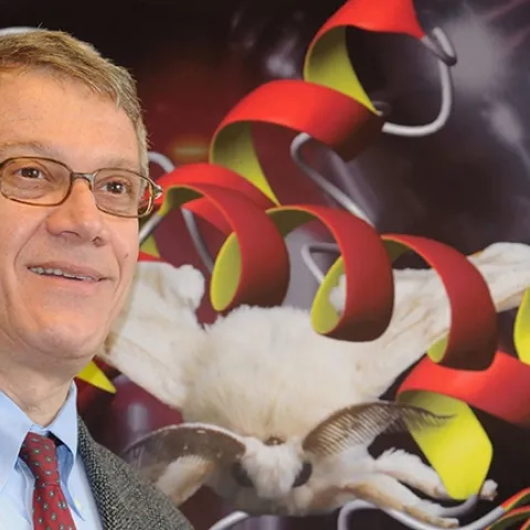 UC distinguished professor Walter Leal is featured as a "living legend" in the winter issue of the American Entomologist. (Photo by Kathy Keatley Garvey)