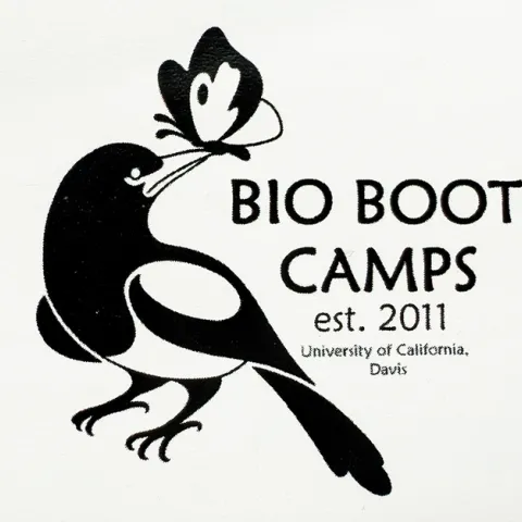 UC Davis alumnus (2024) Allen Chew recently created a logo for the Bio Boot Camps that incorporates the yellow-billed magpie, Pica nuttalli, the symbol of MWFB, with the California dogface butterfly, Zerene eurydice, the symbol of the Bohart Museum.