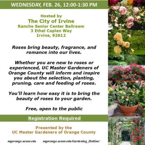 Want Beautiful, Thriving Roses? Join Us for ROSES 101