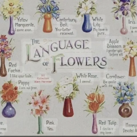 language of flowers