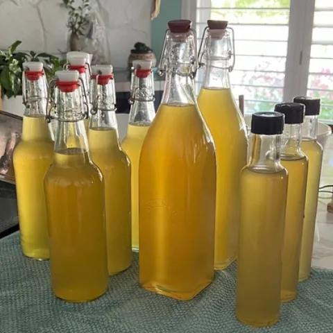 Photo of limoncello in various sized bottles.