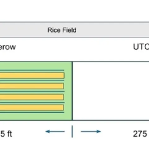 field map of the hedgerow and control plot area