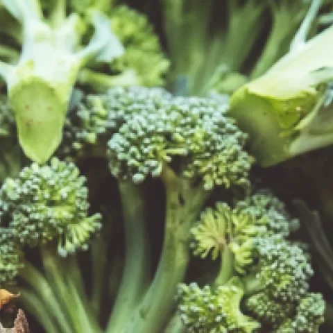 Garden Grown Vegetables