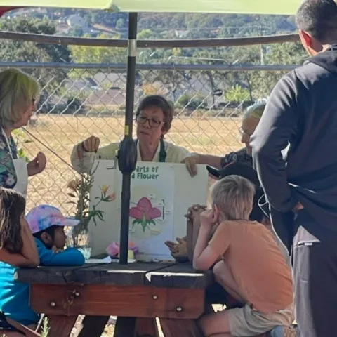 Family workshop on botany 