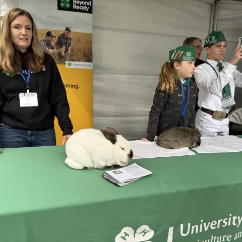 El programa 4H de UC ANR trabaja con niños y adolescentes en herramientas útiles para su desarrollo.
