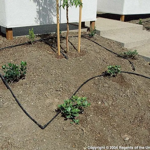 Installing an operating a drip watering system for your home garden
