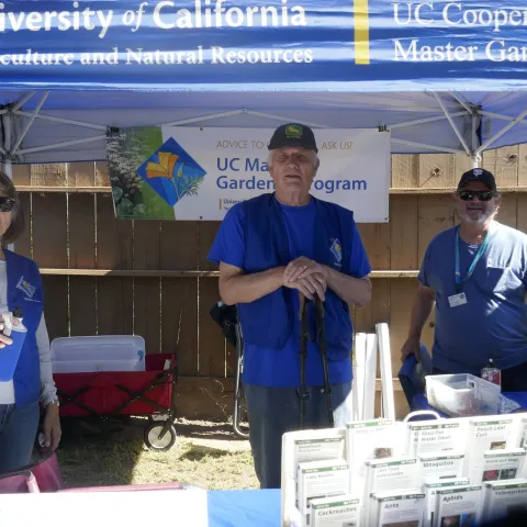 Pollinator Festival 2024