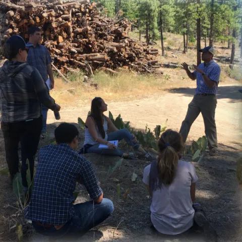 Forestry page banner