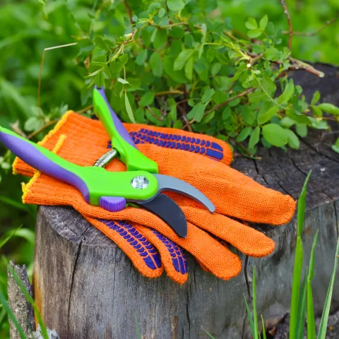 gardening tools