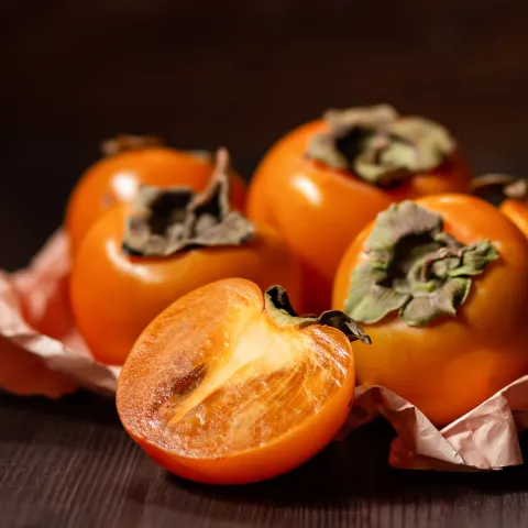 persimmon