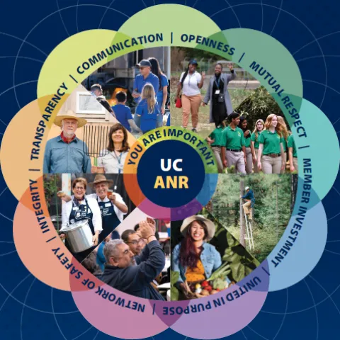 multi-colored flower with the words community, openness, mutual respect, member investment, united in purpose, Network of Safety, Integrity, and You are Important in each petal of the flower with picturures of people in UC ANR in triangles making up the middle
