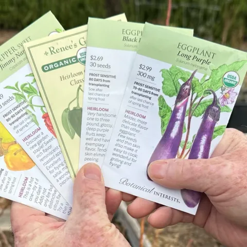 Seed packets