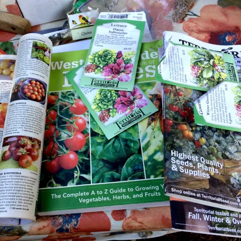 Seed packets and catalogs