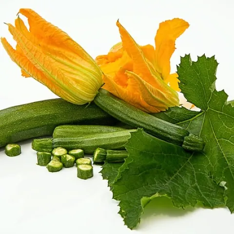 zucchini